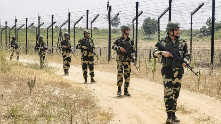 ভারতে অনুপ্রবেশের অভিযোগে পাকিস্তানের সেনা আটক