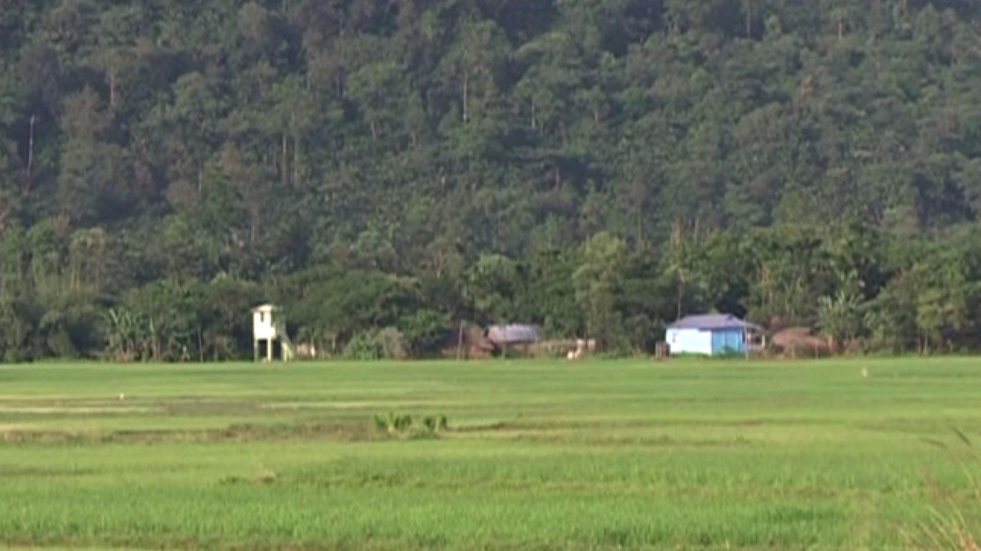 মেঘালয়ের জৈন্তিয়া হিলস এলাকায় রাত্রিকালীন কারফিউ জারি