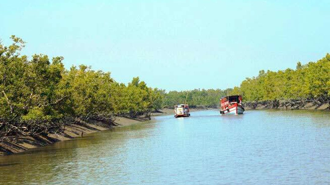 সুন্দরবনের ১০ কিলোমিটারের মধ্যে নতুন শিল্পপ্রতিষ্ঠান নিষিদ্ধ