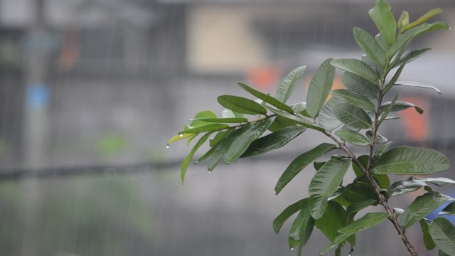 আজ কি বৃষ্টি হতে পারে, কী বলছে আবহাওয়া অফিস