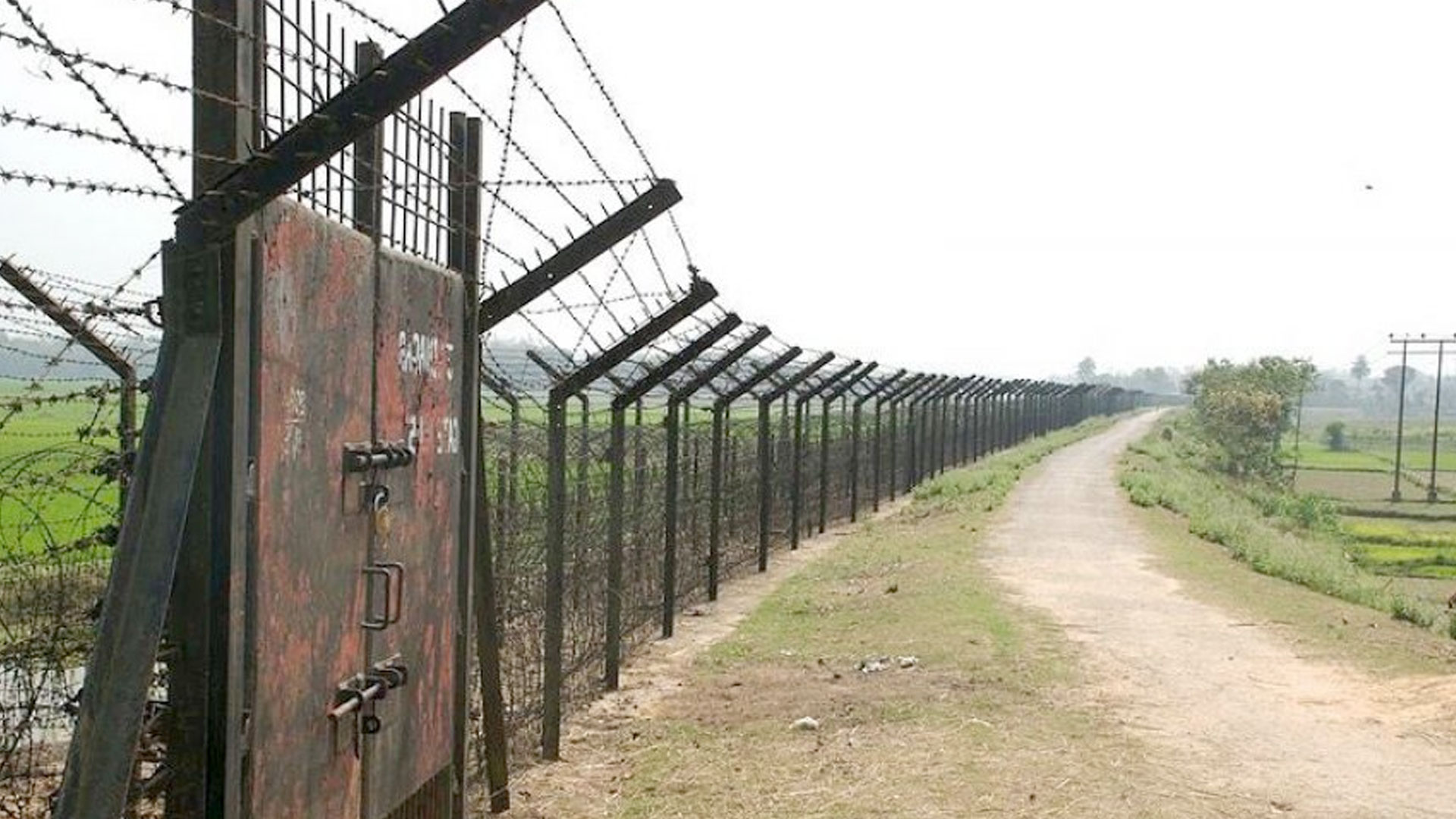 ঠাকুরগাঁও সীমান্তে ১৭ বাংলাদেশিকে পুশ-ইন করল বিএসএফ