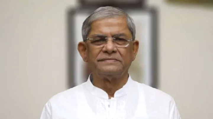 সংকট দূর করার একটিই পথ, অতিদ্রুত নির্বাচন: মির্জা ফখরুল