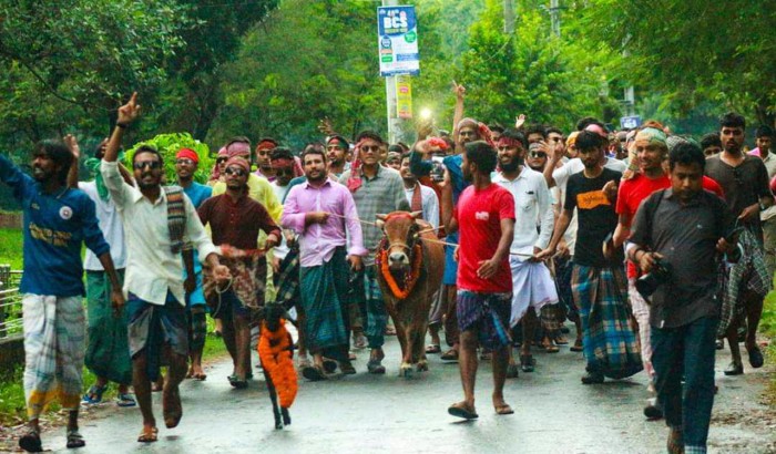 চব্বিশের বিজয় উদযাপন করবেন রাবি শিক্ষার্থীরা, জবাই হবে গরু-খাসি